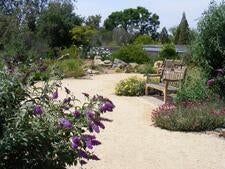 botanic gardens and bench